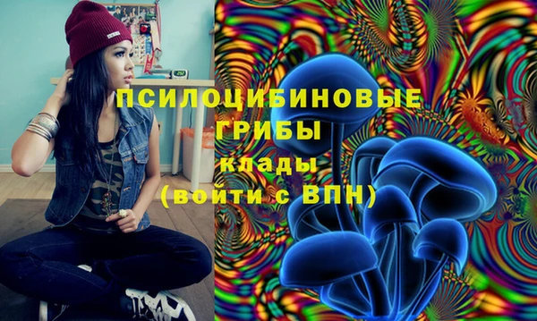 apvp Баксан
