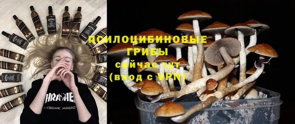 apvp Баксан