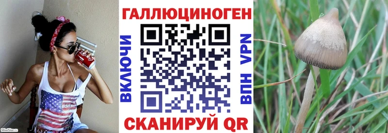 где продают наркотики Грязовец Псилоцибиновые грибы мицелий